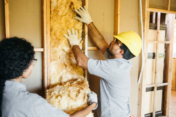 Best Wall Insulation Contractor  in USA